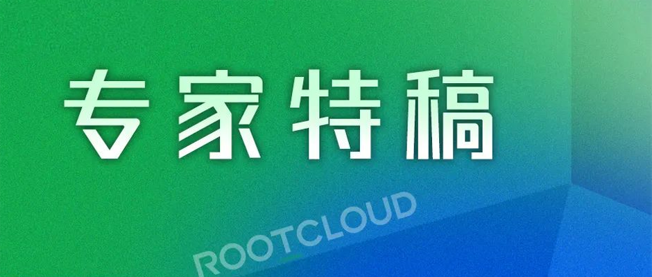 賽迪：“平臺(tái)+園區(qū)”新模式新業(yè)態(tài)加速涌現(xiàn)